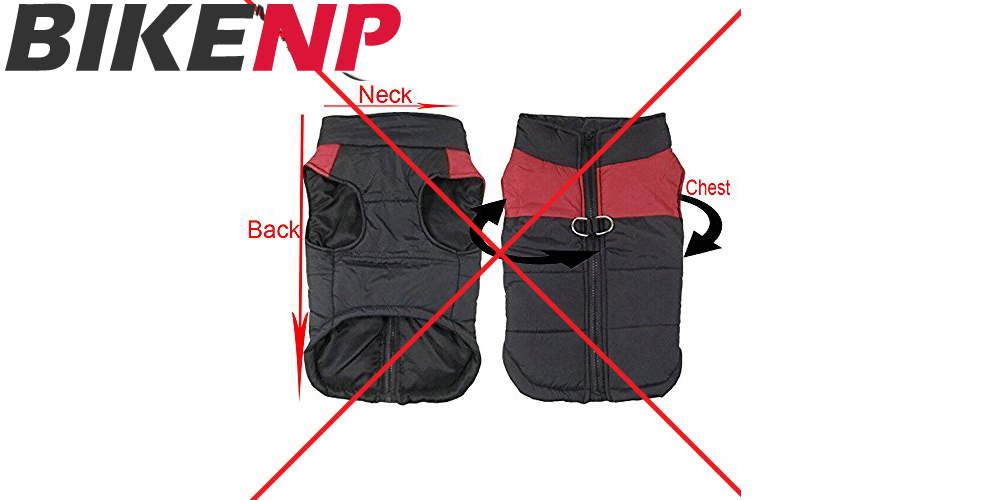 1649499655_What- type -of -chest -protector -you- need -to- purchase.jpg